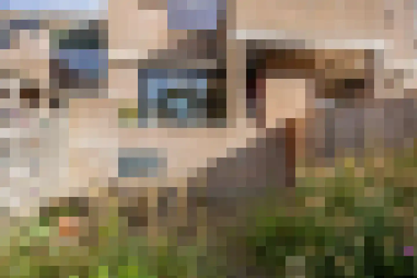 Sikkelkruid 5 Nieuwerkerk aan den IJssel thumbnail 18