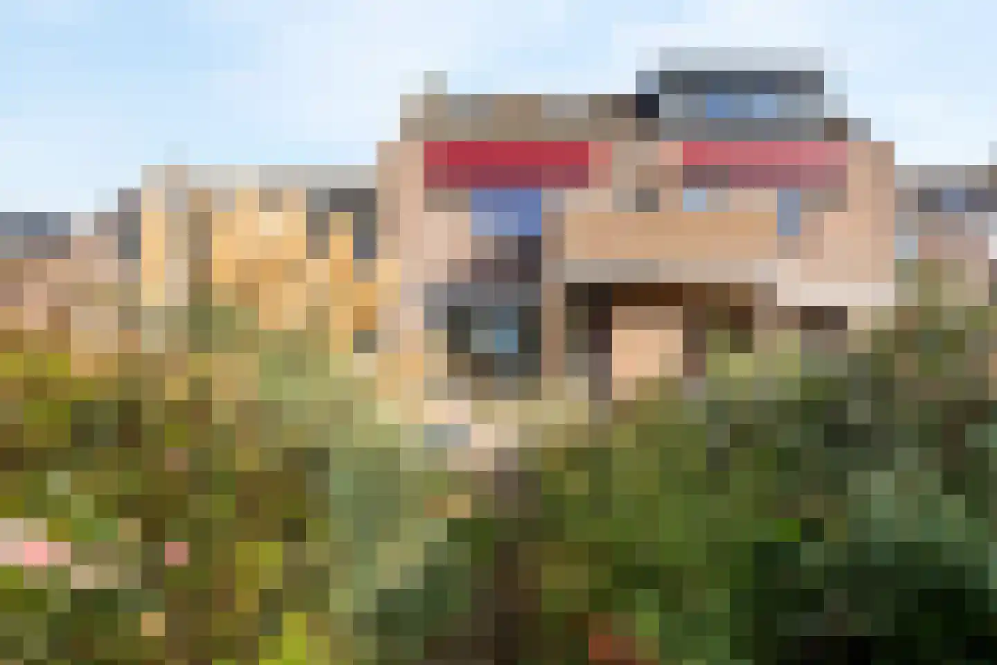 Sikkelkruid 5 Nieuwerkerk aan den IJssel thumbnail 20