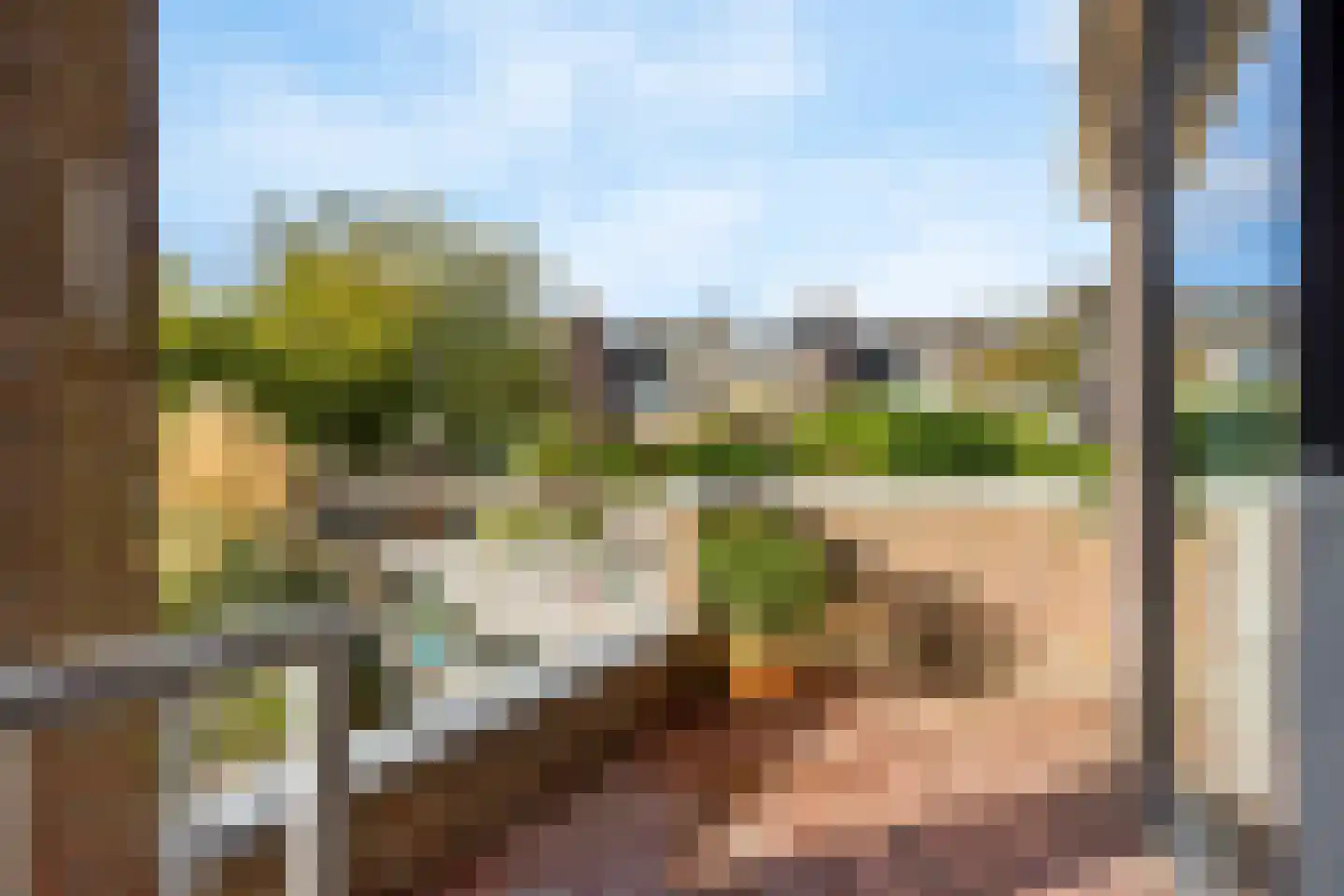 Sikkelkruid 5 Nieuwerkerk aan den IJssel thumbnail 21