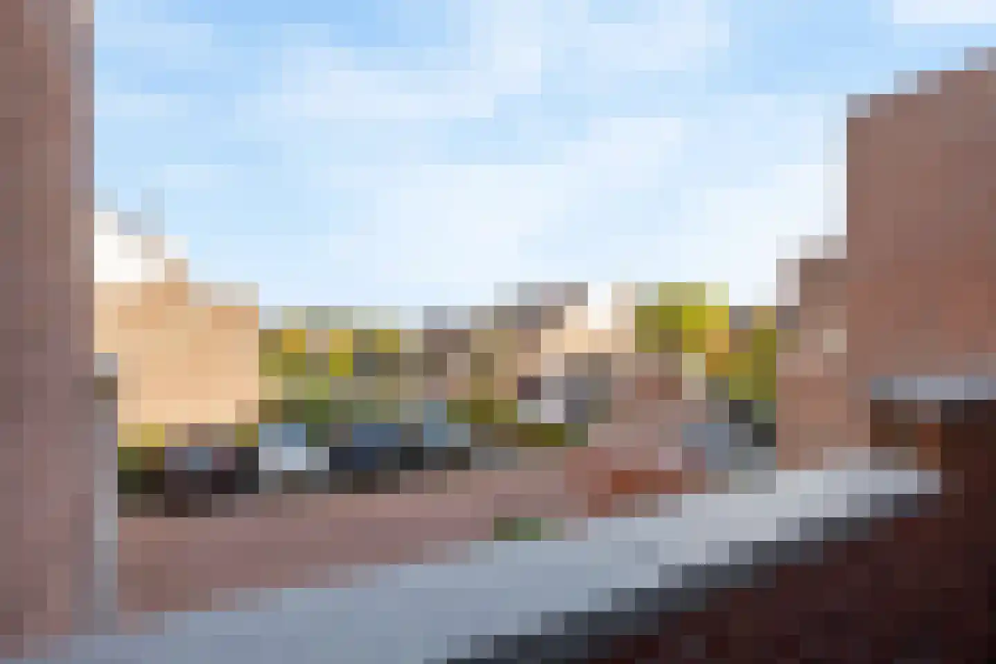 Sikkelkruid 5 Nieuwerkerk aan den IJssel thumbnail 45