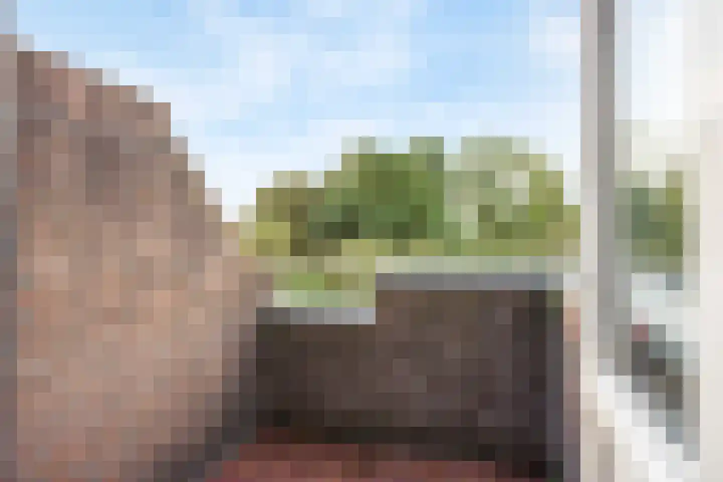 Sikkelkruid 5 Nieuwerkerk aan den IJssel thumbnail 46