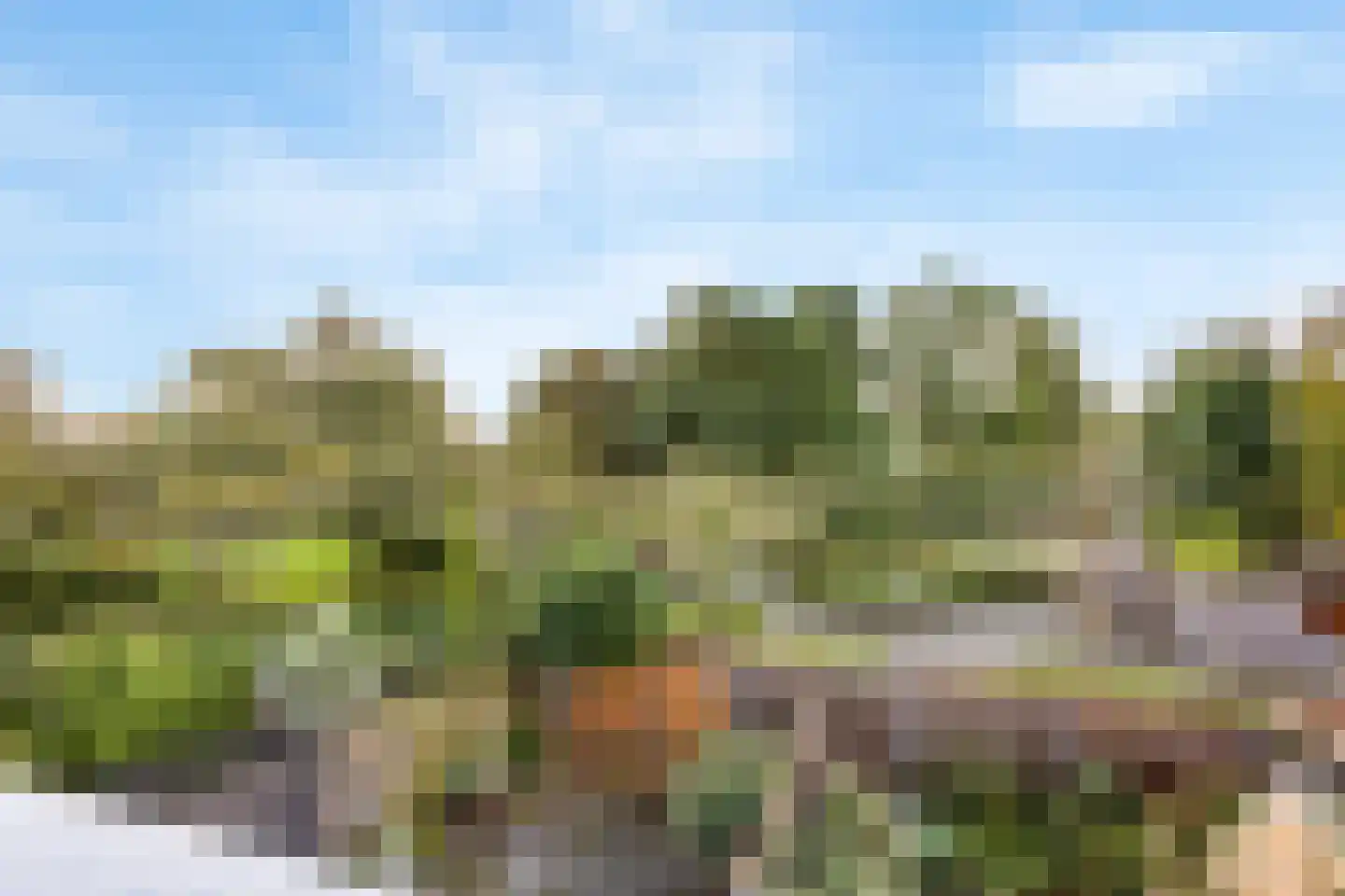 Sikkelkruid 5 Nieuwerkerk aan den IJssel thumbnail 47