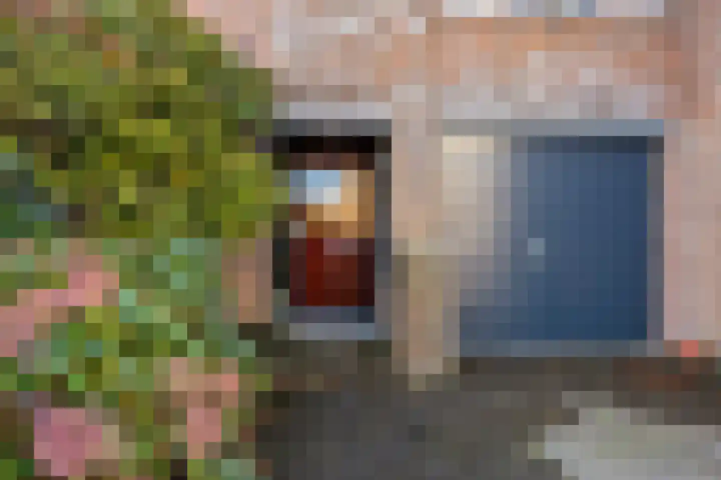 Sikkelkruid 5 Nieuwerkerk aan den IJssel thumbnail 52
