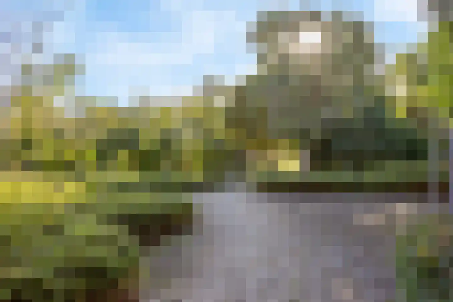 Sikkelkruid 5 Nieuwerkerk aan den IJssel thumbnail 56