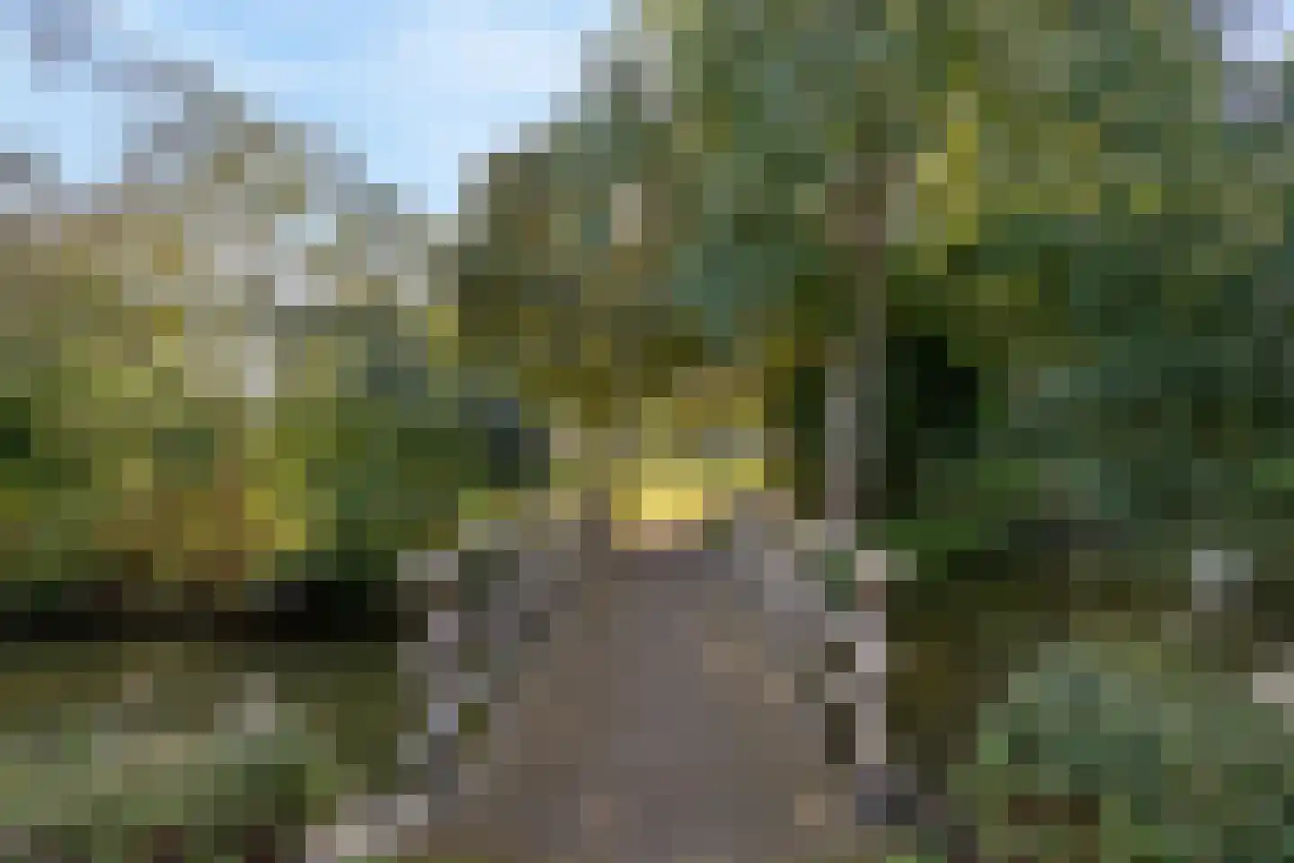 Sikkelkruid 5 Nieuwerkerk aan den IJssel thumbnail 57