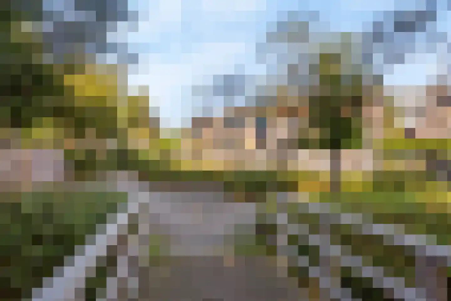 Sikkelkruid 5 Nieuwerkerk aan den IJssel thumbnail 58