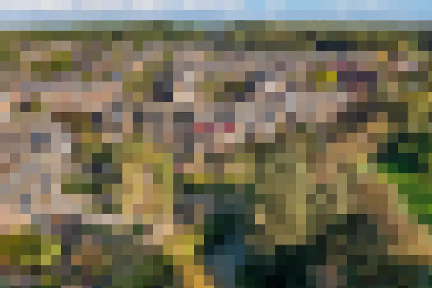 Sikkelkruid 5 Nieuwerkerk aan den IJssel thumbnail 62