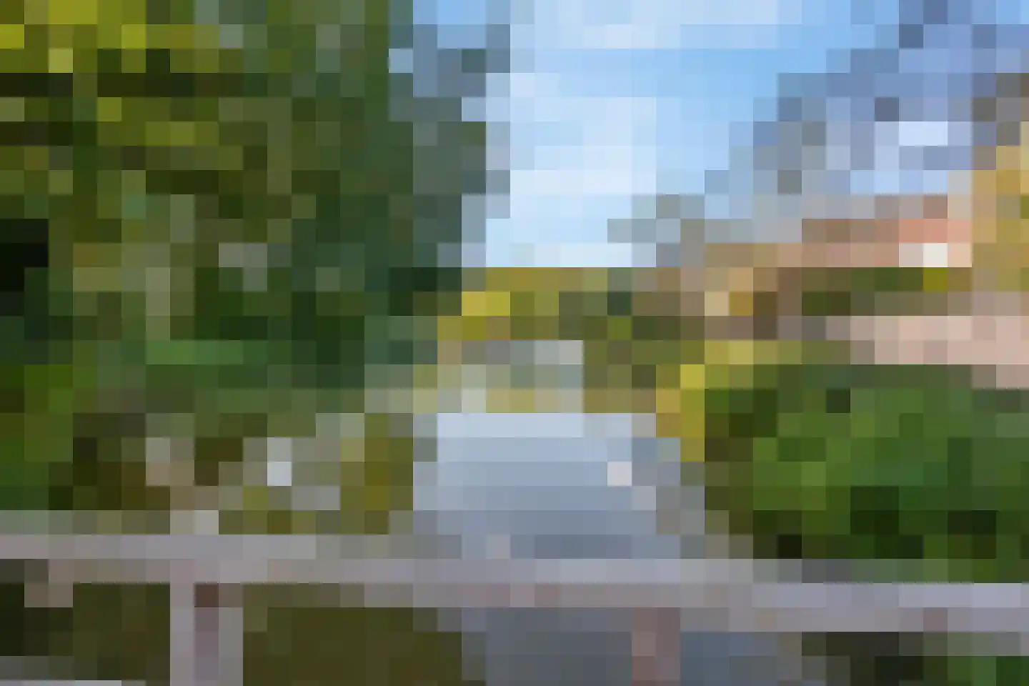 Sikkelkruid 5 Nieuwerkerk aan den IJssel thumbnail 7