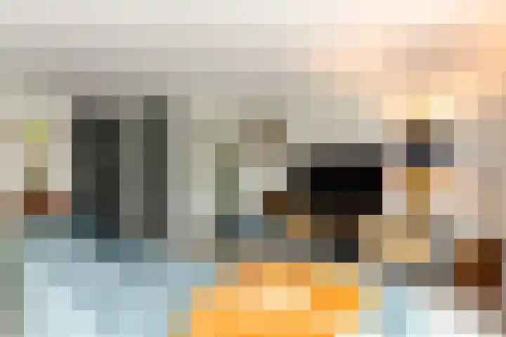 Sikkelkruid 51 Amersfoort thumbnail 13