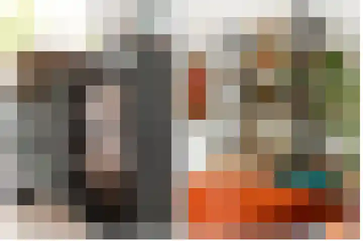 Sikkelkruid 51 Amersfoort thumbnail 18