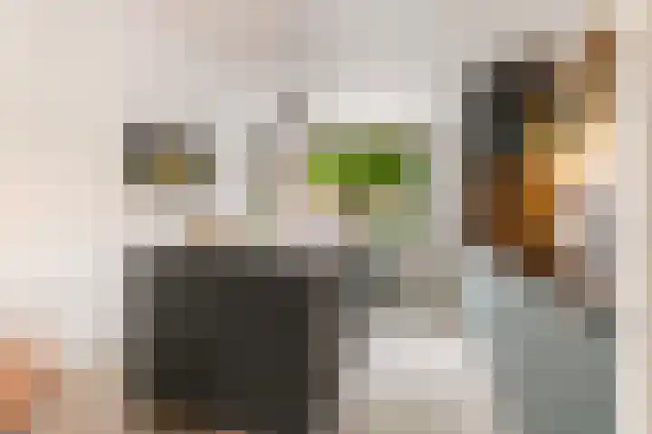 Sikkelkruid 51 Amersfoort thumbnail 19