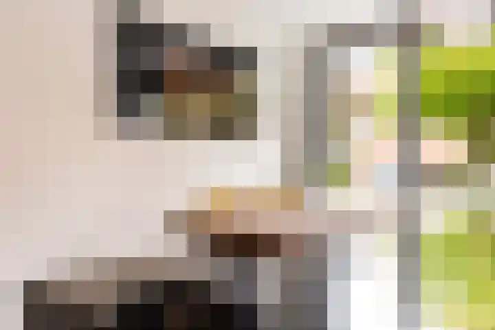 Sikkelkruid 51 Amersfoort thumbnail 20