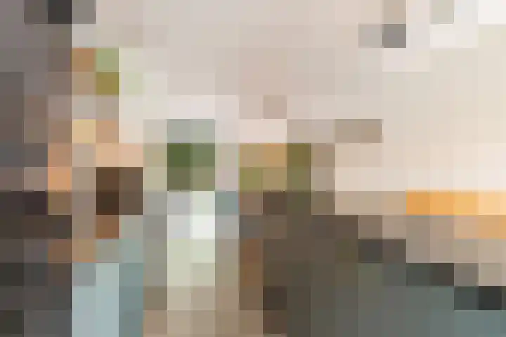 Sikkelkruid 51 Amersfoort thumbnail 22