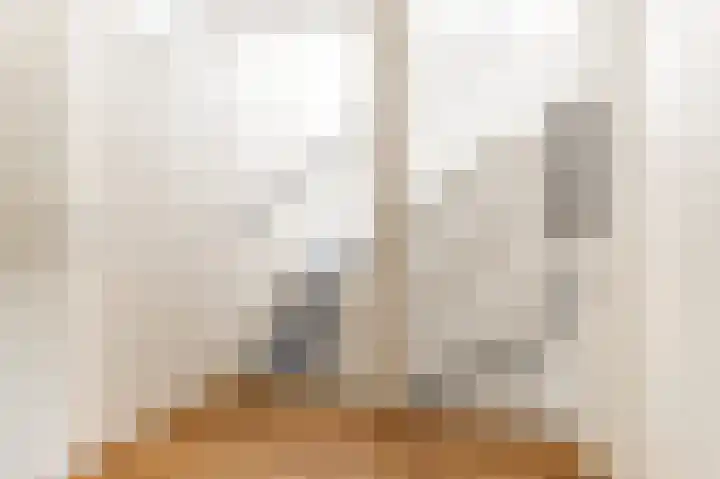 Sikkelkruid 51 Amersfoort thumbnail 25