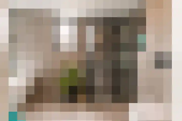 Sikkelkruid 51 Amersfoort thumbnail 31