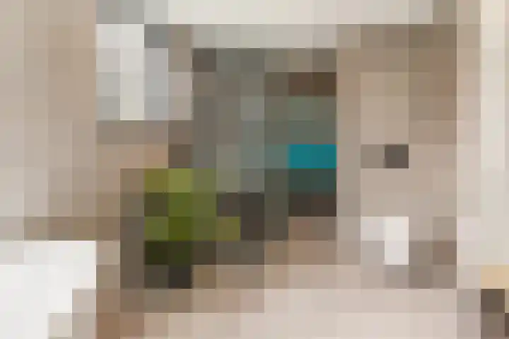 Sikkelkruid 51 Amersfoort thumbnail 33