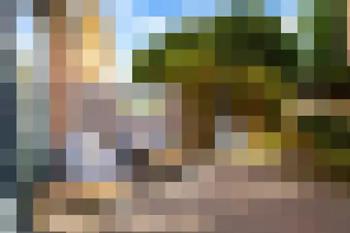Sikkelkruid 51 Amersfoort thumbnail 48
