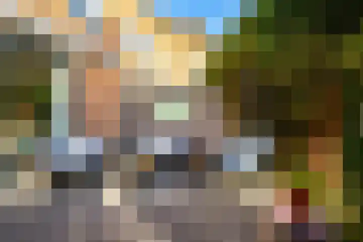 Sikkelkruid 51 Amersfoort thumbnail 49