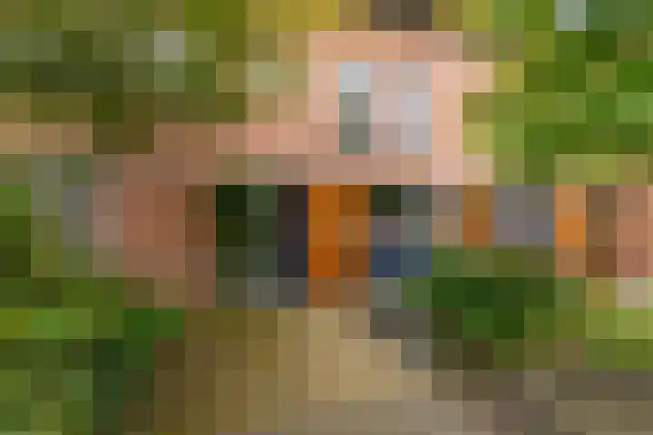Sikkelkruid 51 Amersfoort thumbnail 5