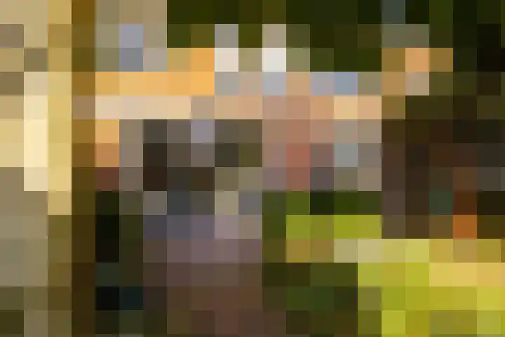 Sikkelkruid 51 Amersfoort thumbnail 54