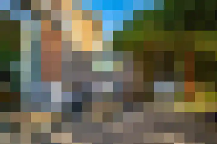 Sikkelkruid 51 Amersfoort thumbnail 55