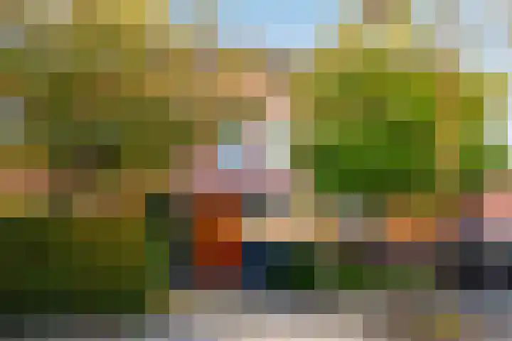 Sikkelkruid 51 Amersfoort thumbnail 59