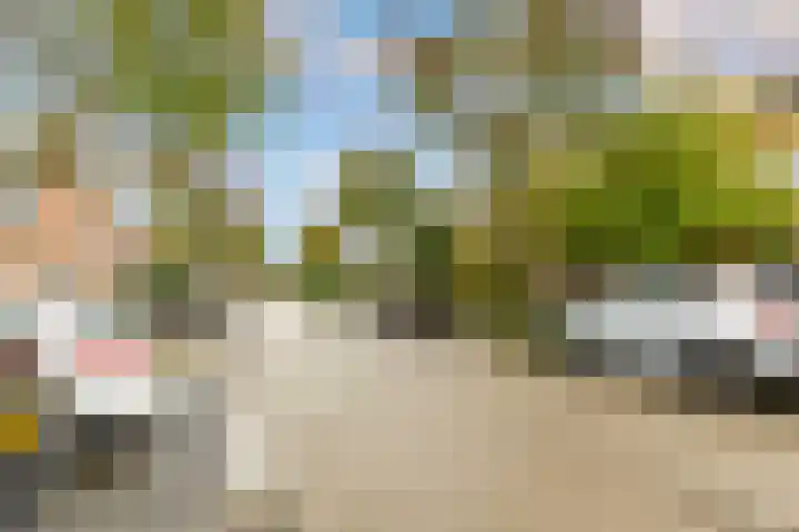 Sikkelkruid 51 Amersfoort thumbnail 60