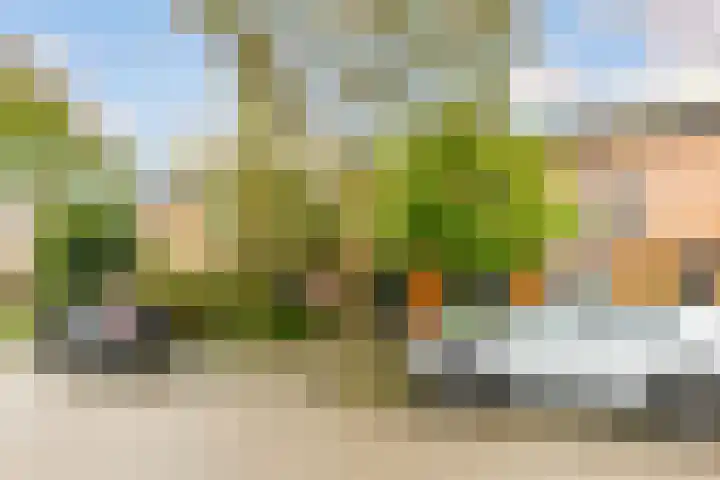 Sikkelkruid 51 Amersfoort thumbnail 61