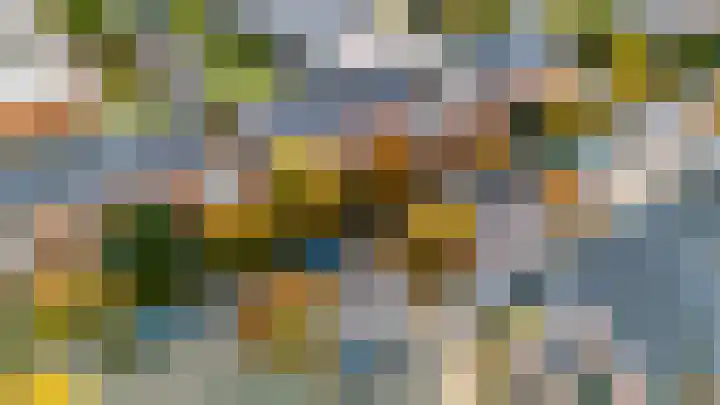 Sikkelkruid 51 Amersfoort thumbnail 63