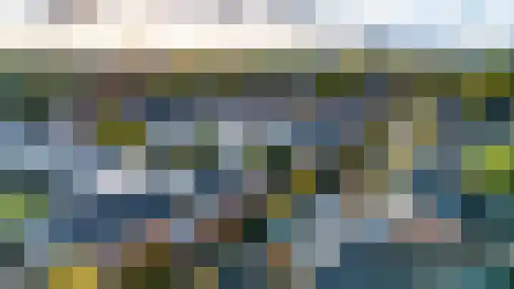 Sikkelkruid 51 Amersfoort thumbnail 64