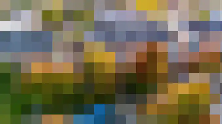 Sikkelkruid 51 Amersfoort thumbnail 65