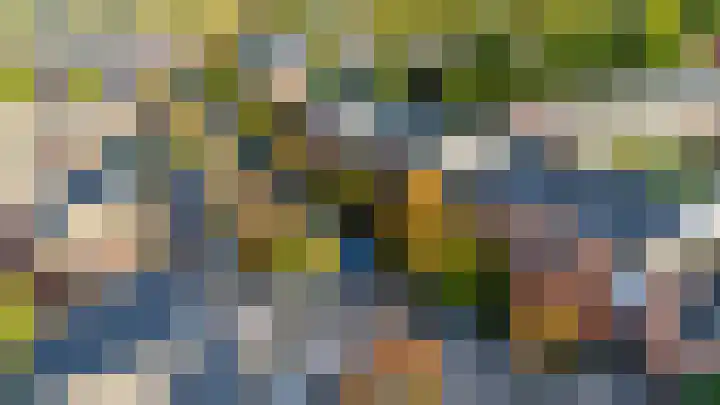 Sikkelkruid 51 Amersfoort thumbnail 66