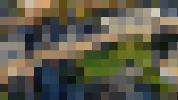 Sikkelkruid 51 Amersfoort thumbnail 67