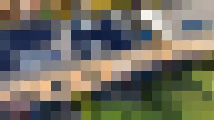 Sikkelkruid 51 Amersfoort thumbnail 68