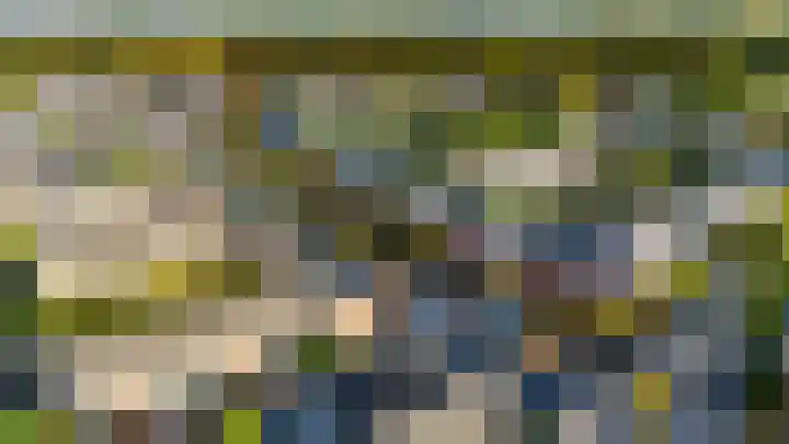 Sikkelkruid 51 Amersfoort thumbnail 69