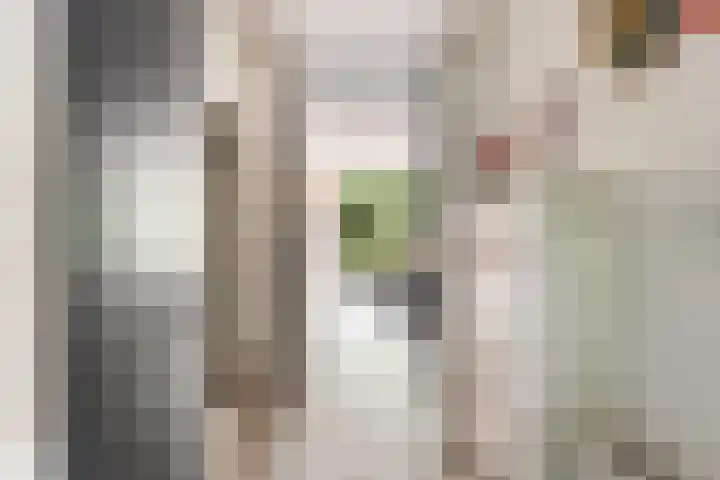 Sikkelkruid 51 Amersfoort thumbnail 7