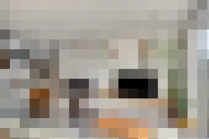 Sikkelkruid 6 Nieuwerkerk aan den IJssel thumbnail 10