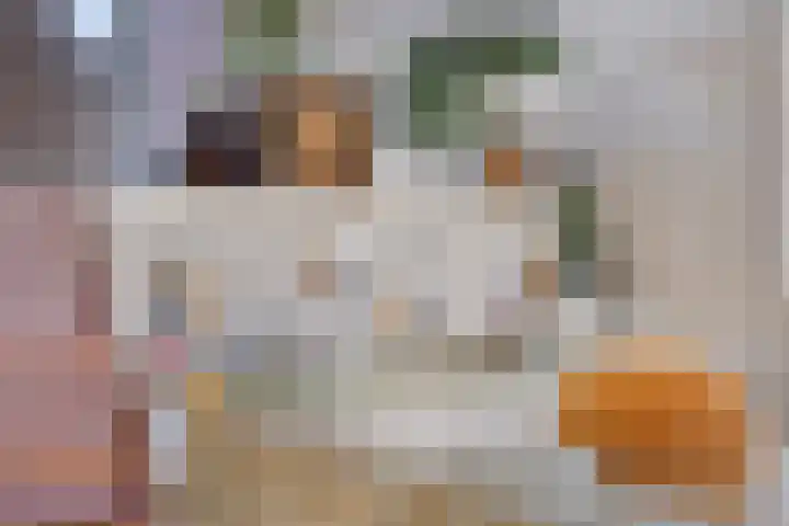 Sikkelkruid 6 Nieuwerkerk aan den IJssel thumbnail 11