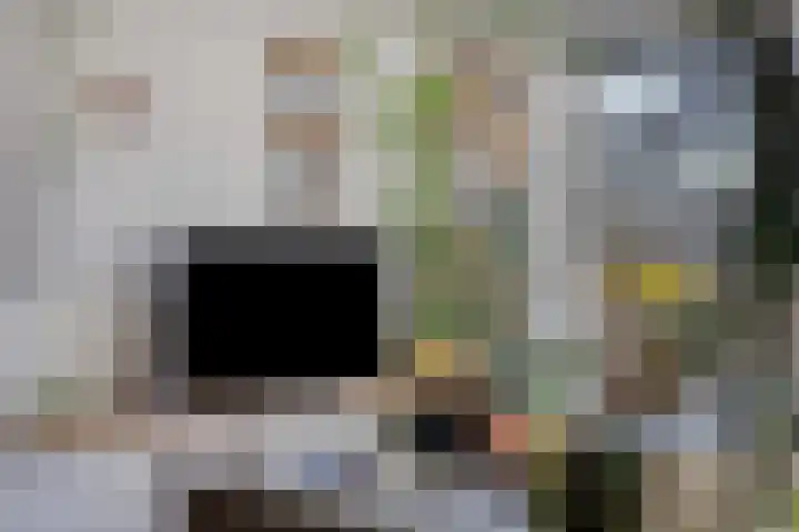 Sikkelkruid 6 Nieuwerkerk aan den IJssel thumbnail 12