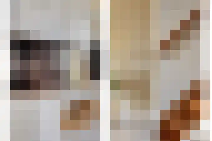 Sikkelkruid 6 Nieuwerkerk aan den IJssel thumbnail 14