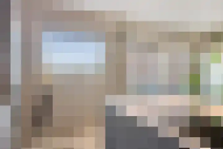 Sikkelkruid 6 Nieuwerkerk aan den IJssel thumbnail 17