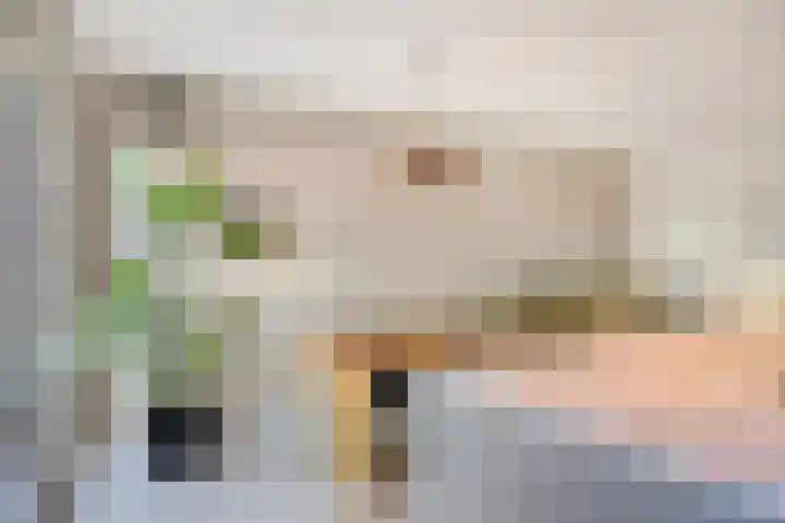Sikkelkruid 6 Nieuwerkerk aan den IJssel thumbnail 18