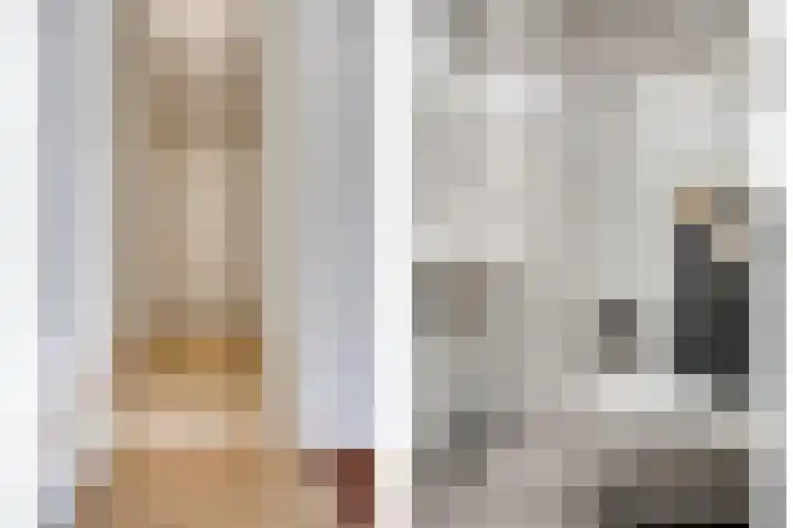 Sikkelkruid 6 Nieuwerkerk aan den IJssel thumbnail 22