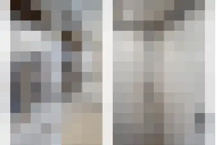 Sikkelkruid 6 Nieuwerkerk aan den IJssel thumbnail 32