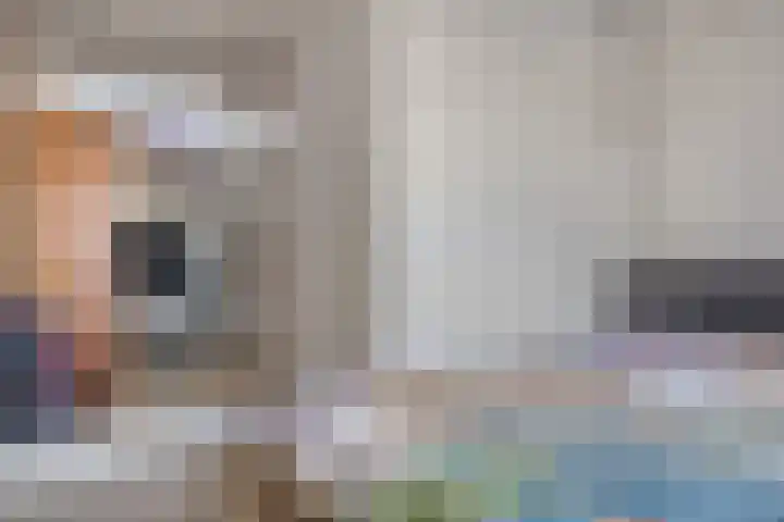 Sikkelkruid 6 Nieuwerkerk aan den IJssel thumbnail 33