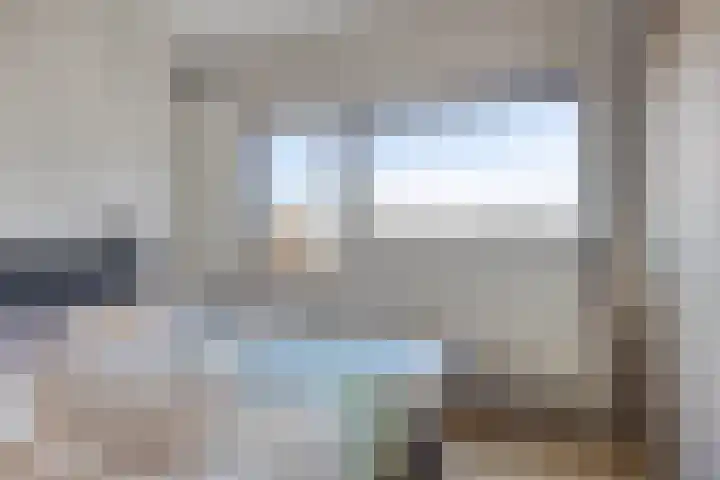 Sikkelkruid 6 Nieuwerkerk aan den IJssel thumbnail 34
