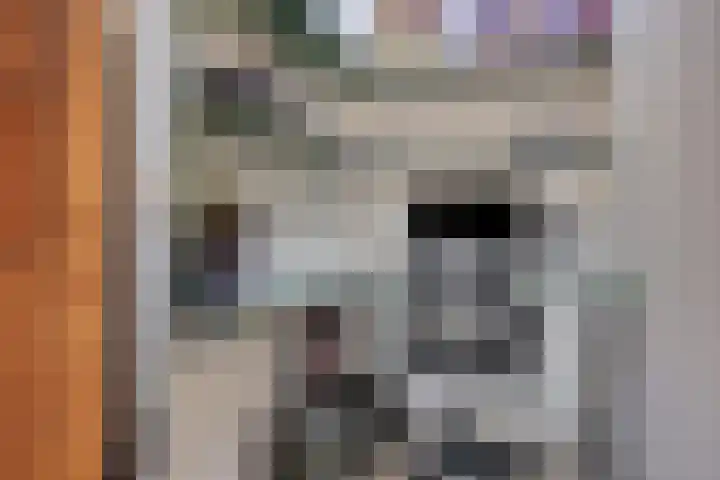 Sikkelkruid 6 Nieuwerkerk aan den IJssel thumbnail 35