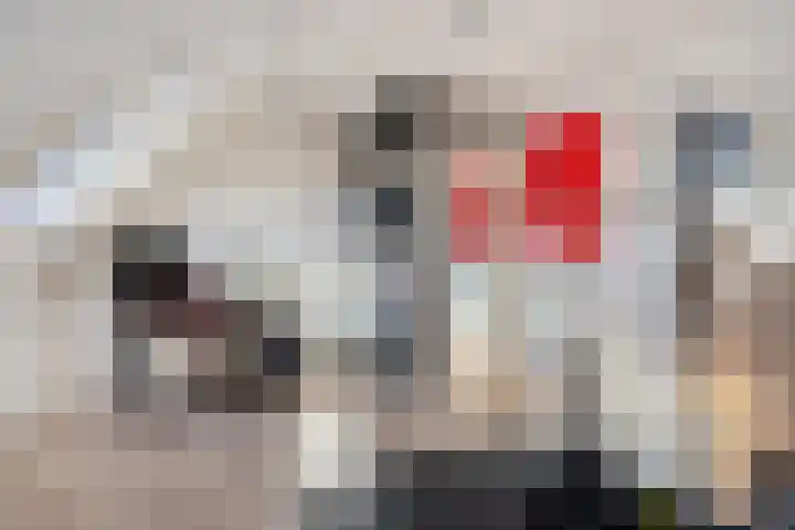 Sikkelkruid 6 Nieuwerkerk aan den IJssel thumbnail 37