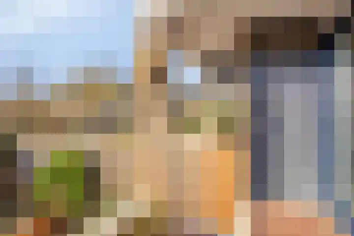 Sikkelkruid 6 Nieuwerkerk aan den IJssel thumbnail 38