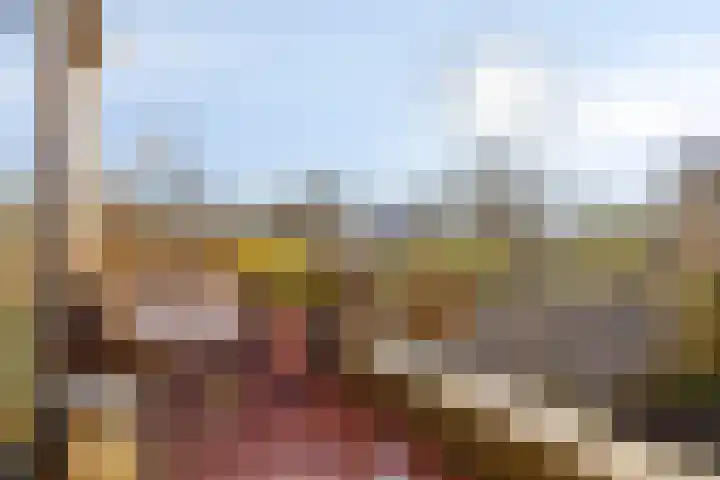 Sikkelkruid 6 Nieuwerkerk aan den IJssel thumbnail 39